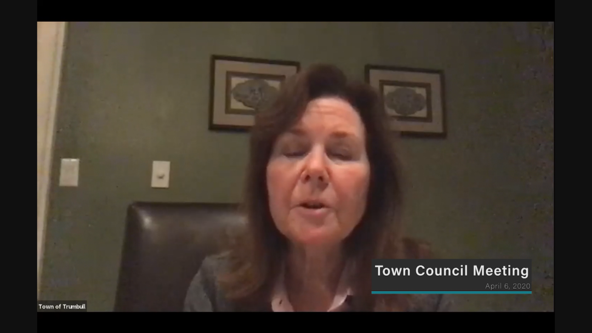 Thumbnail image for Town Council 4/6/20 Virtual Meeting