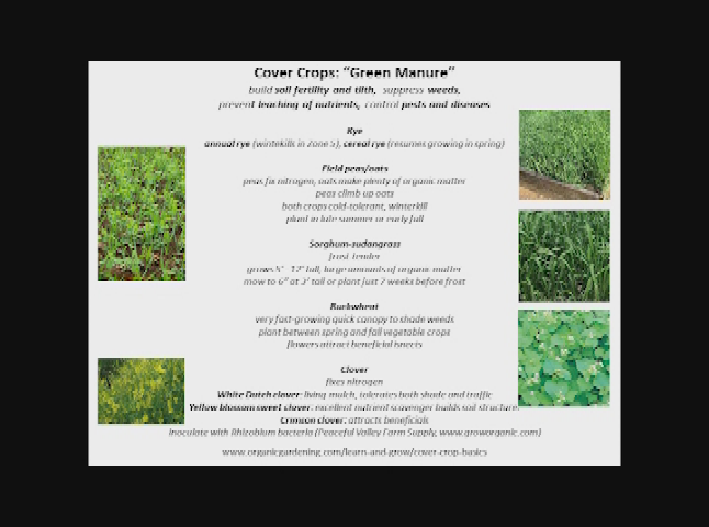 Thumbnail image for Organic Gardening for Everyone