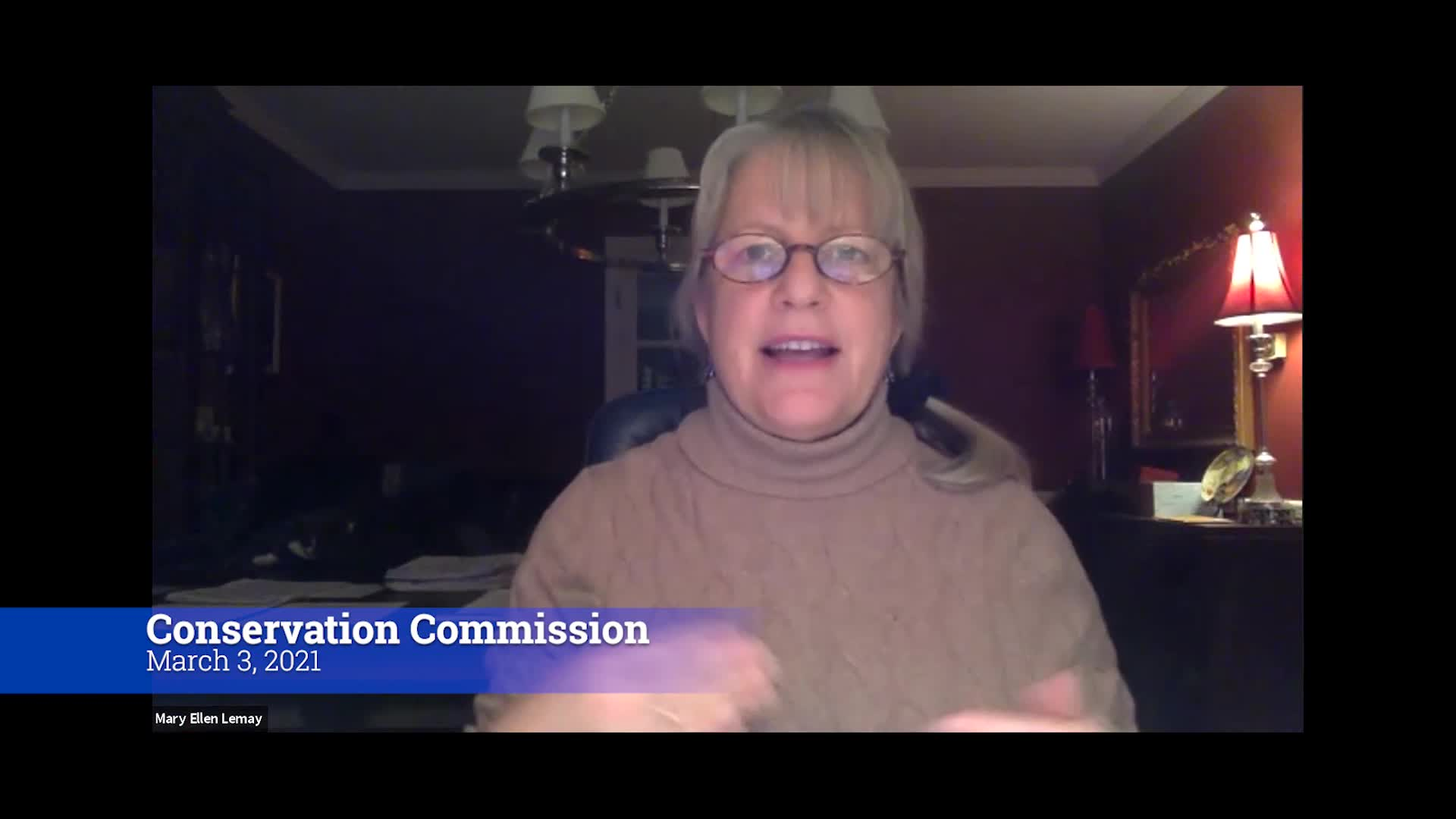 Thumbnail image for Conservation Commission 3/3/21 Meeting VOD only