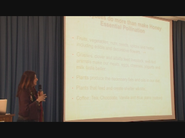 Thumbnail image for Bee Keeping with Marina Marchese