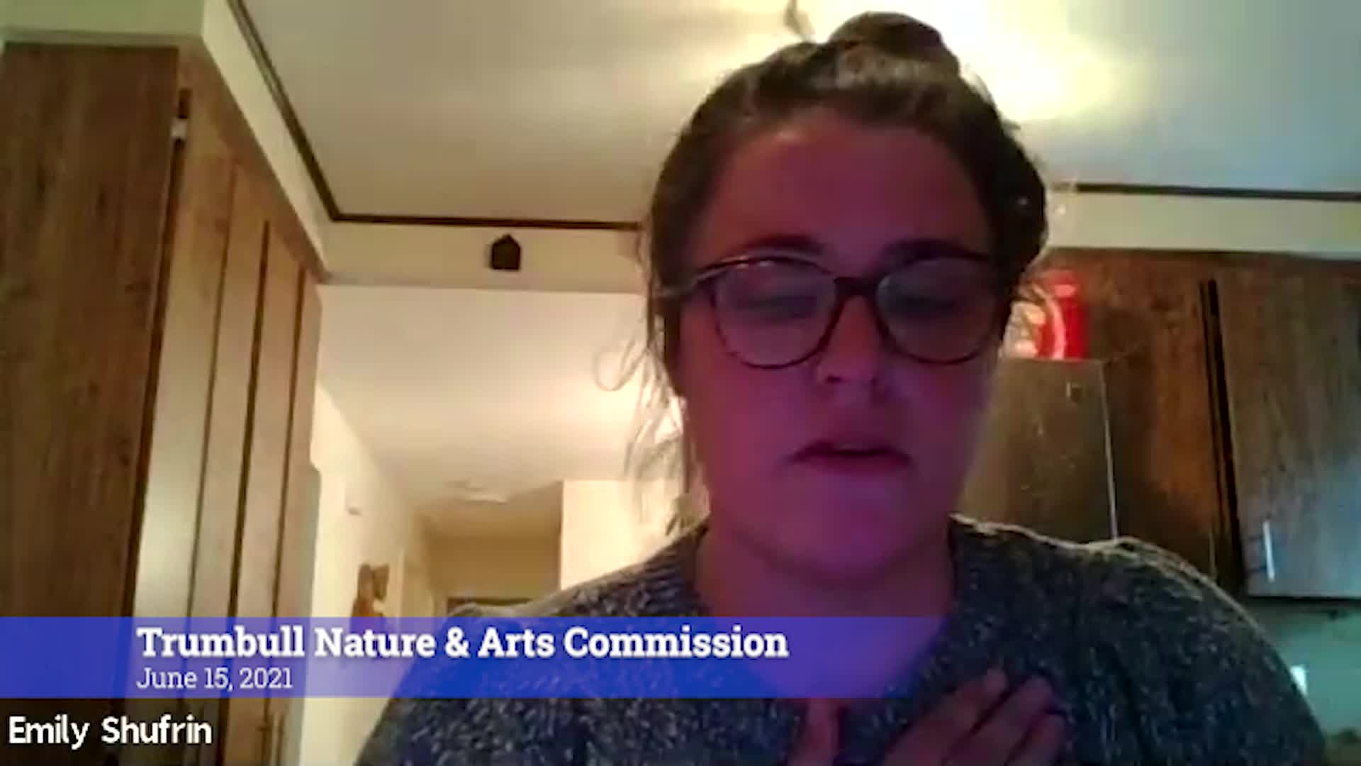 Thumbnail image for Trumbull Nature & Arts Commission 6/15/21 VOD only