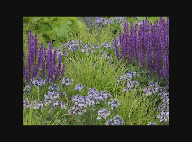 Thumbnail image for Wise Use of Water