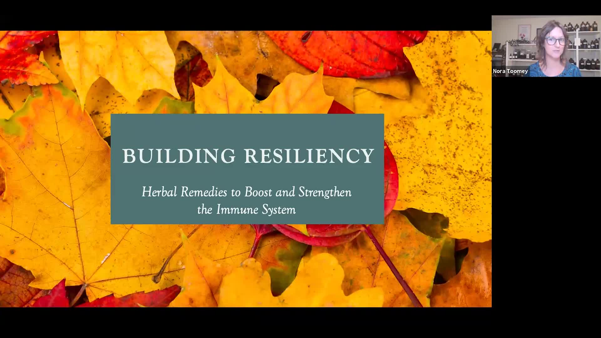 Thumbnail image for Herbal Remedies to Support Your Immune Health