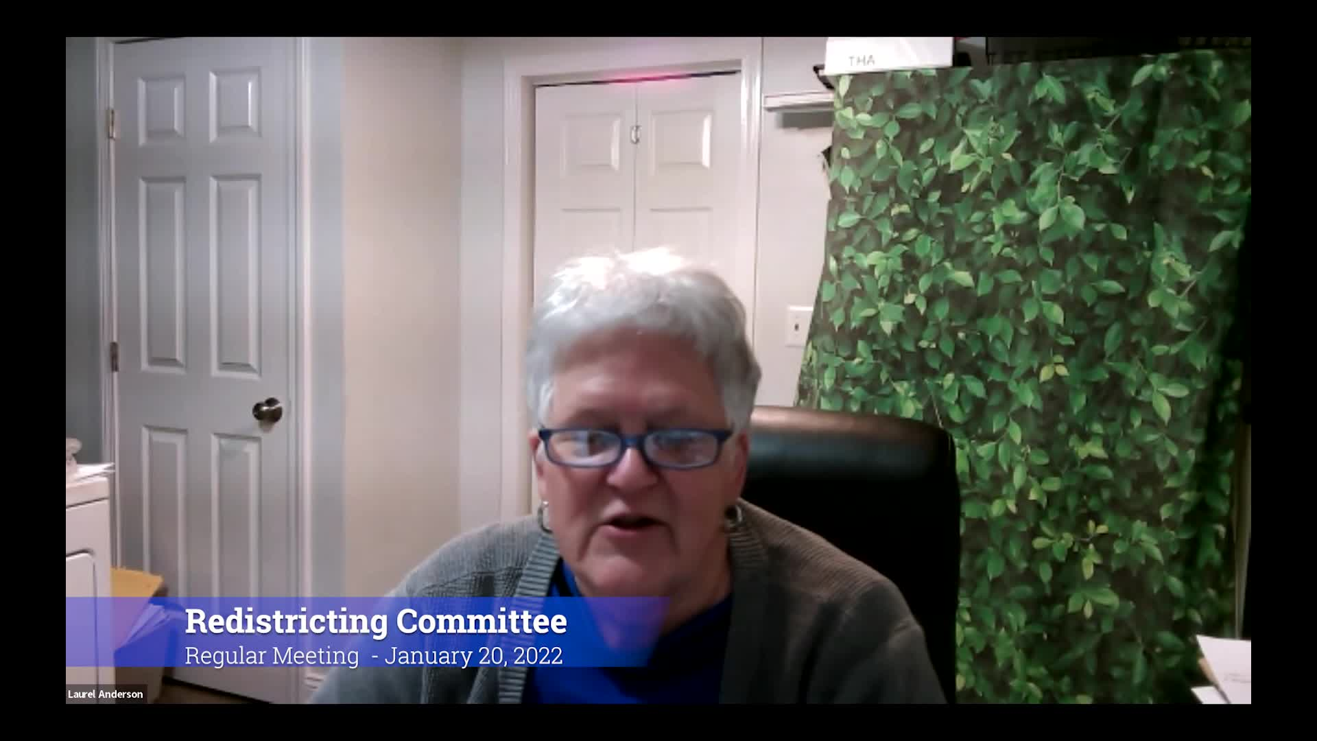 Thumbnail image for 2022 Trumbull Redistricting Committee 1/20/22 Meeting