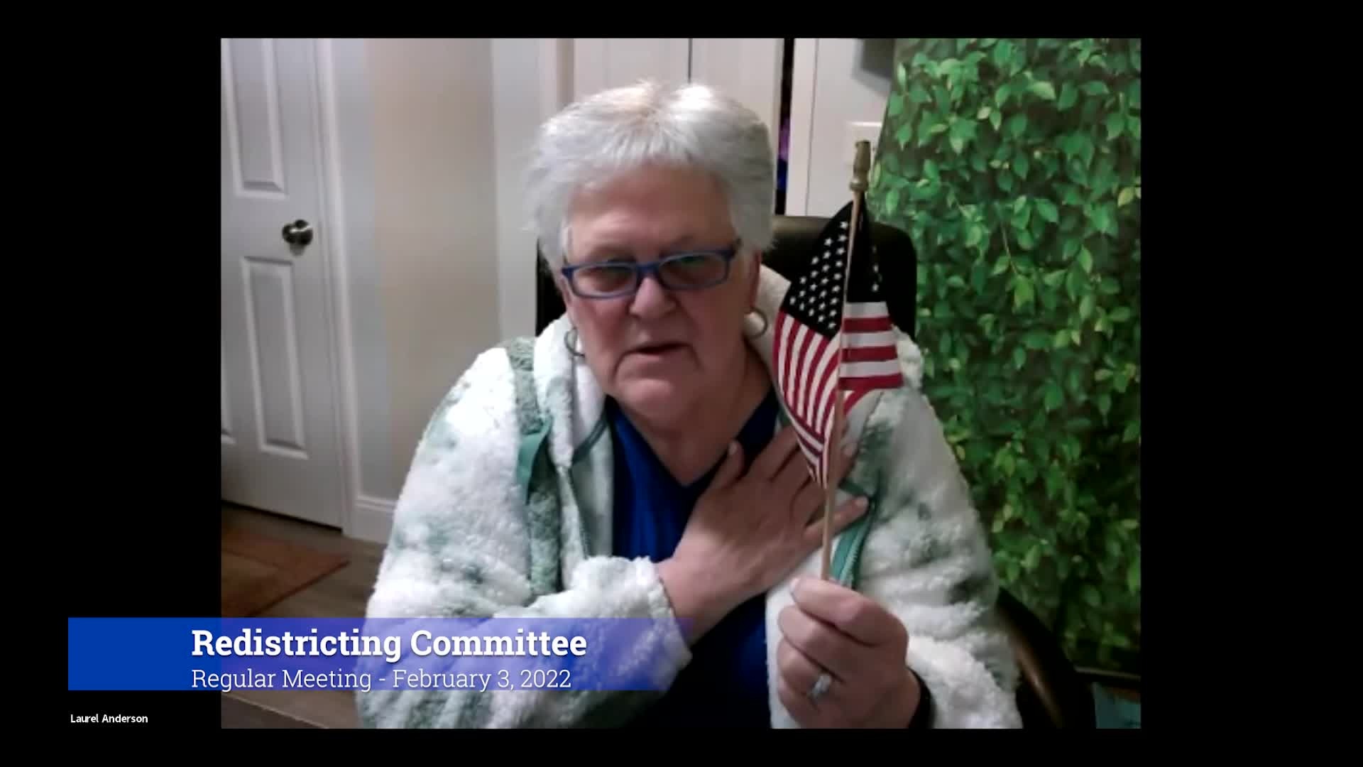 Thumbnail image for 2022 Redistricting Committee 2/3/22 Meeting