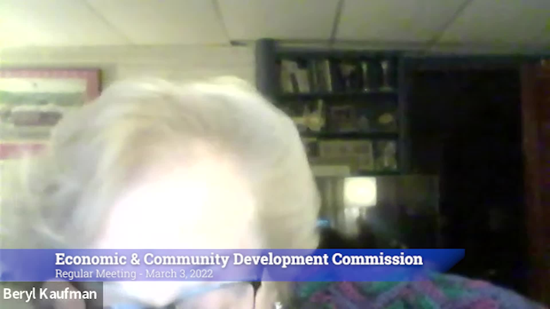 Thumbnail image for Economic & Community Development Commission 3/1/22 Meeting