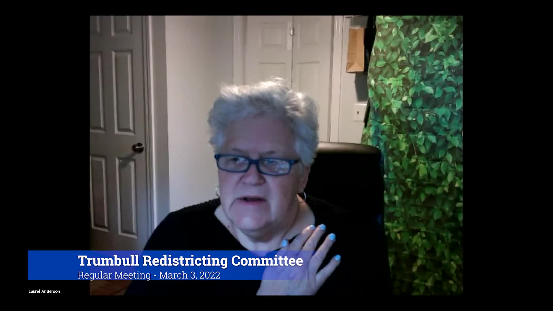 Thumbnail image for 2022 Trumbull Redistricting Committee 3/3/22 Meeting