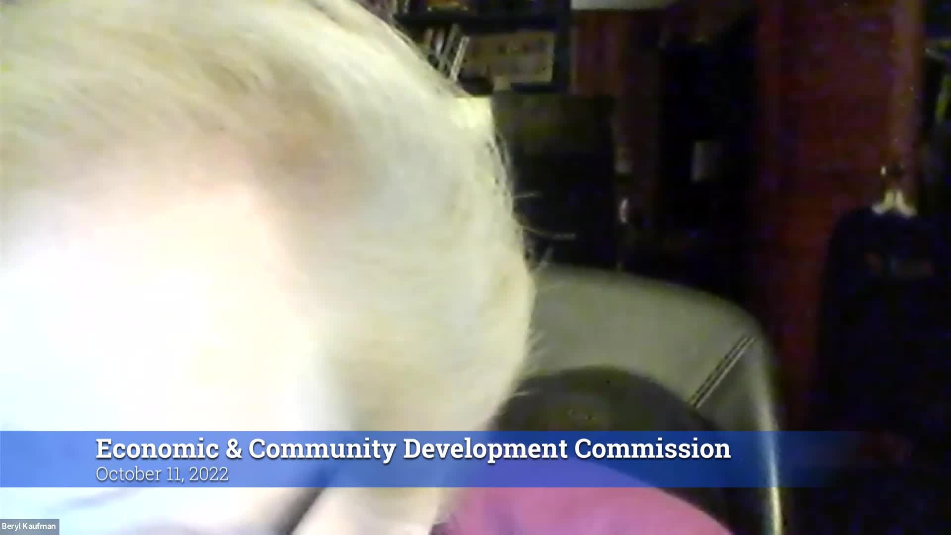 Thumbnail image for Economic & Community Development Commission 10/11/22 Meeting