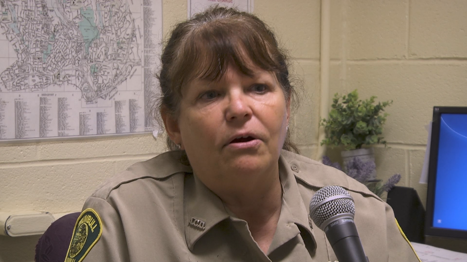 Thumbnail image for Trumbull Animal Shelter Tour